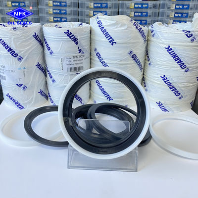TPM Five-Piece Set With Complete Specifications Italy DPM Tailgate Cylinder Oil Seal DBM Combination Seals.